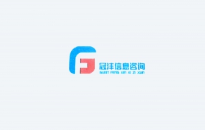 广东冠沣信息咨询有限公司